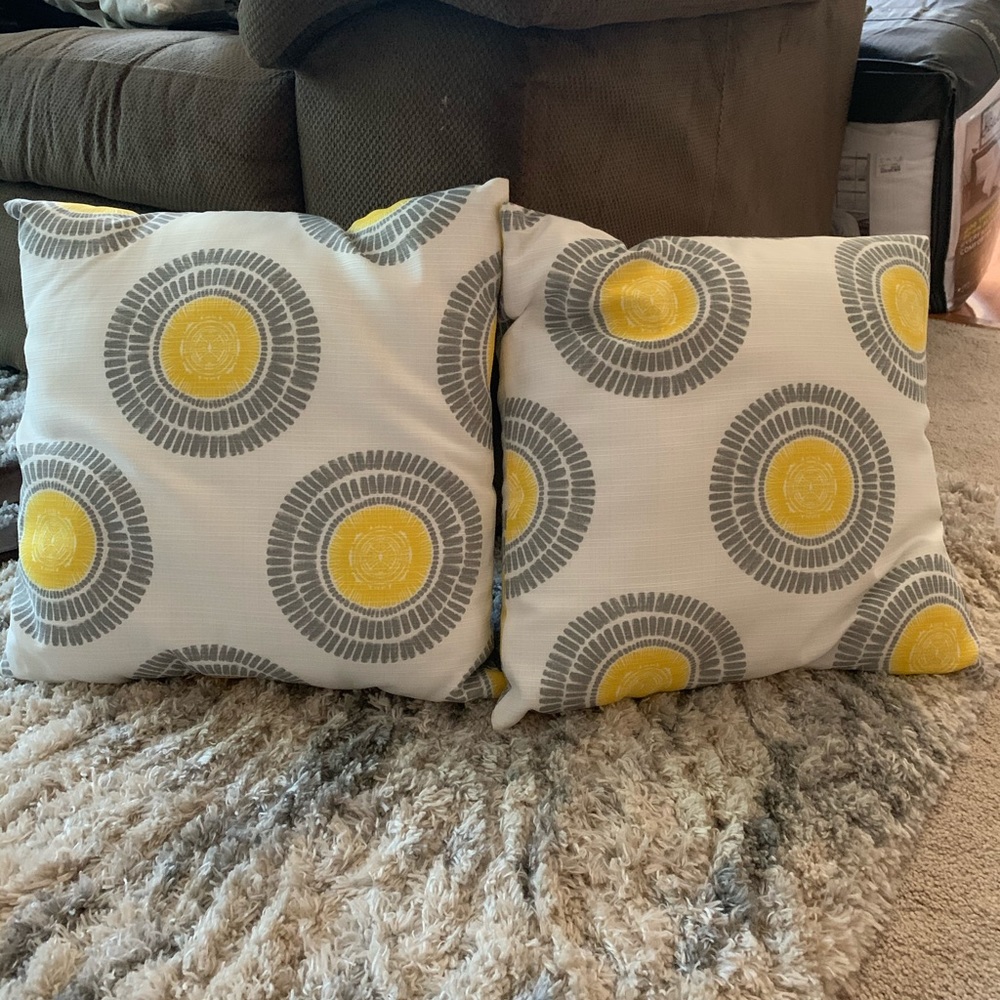 Two 8x8 throw pillows
